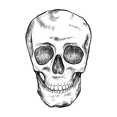 Drawing of human skull with hatching. Front view. Contour art. Black and white engraving for articles, postcards and your design.のイラスト素材