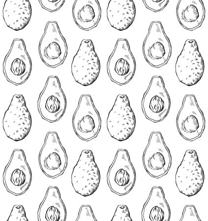 Seamless pattern with avocado sketch in row on white background. Engraving illustration with hatching. Healthy keto diet. Vector texture for wallpapers, fabrics, backgrounds and your design.のイラスト素材