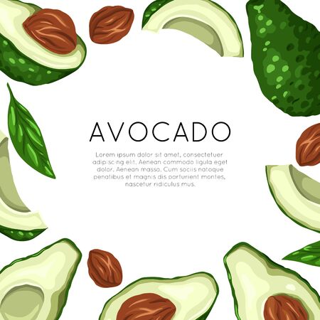 Square card with avocado and place for text. Healthy keto diet. Vegetarian banner. Vector template for greeting cards, menu, recipes and your design.のイラスト素材