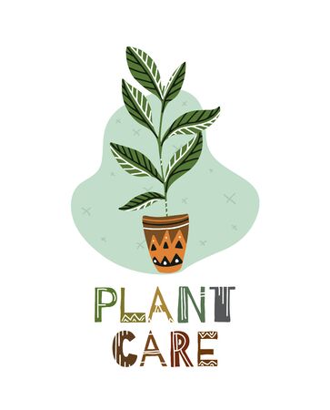 Caring for home plants. Ward over flowers. Ficus with lettering and with a pattern. Plant care. Boho flat illustration for cards, banners, articles and your creativity.のイラスト素材