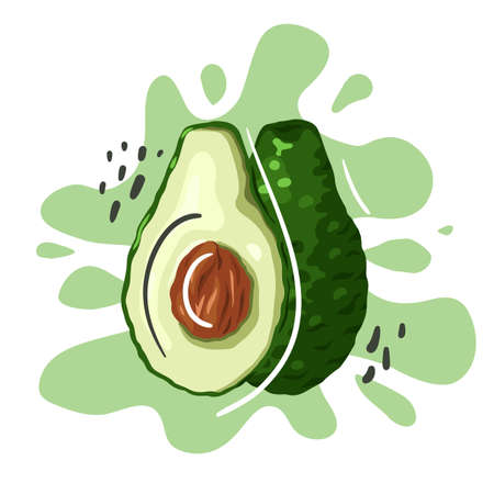 Hand drawn flat avocado with abstract lines and dots on green splash. Healthy food. Vegetable for...