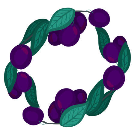 Oval frame with plums, foliage, branches and place for text. Natural border with summer fruits and leaves. Vector hand drawn flat round template with berries and copy space. Card and menuのイラスト素材