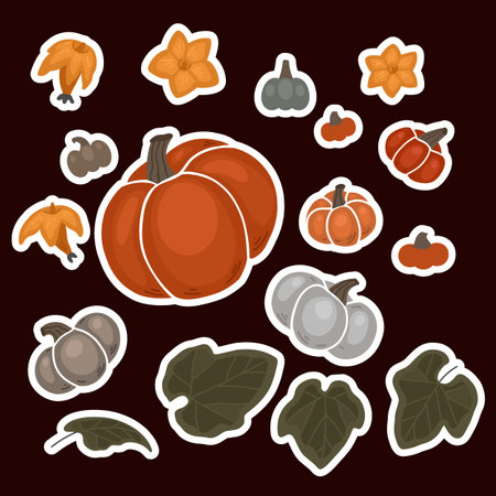 Autumn set with sticker of various pumpkins, flowers and foliage. Vector flat collection with illustration of vegetables and leaves. Warm color composition with garden harvestのイラスト素材