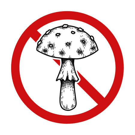 Vector prohibition sign. Do not pick poisonous mushrooms. Danger of being poisoned. Fly agaric sketch with hatching in forbidden sign for logos and iconsのイラスト素材
