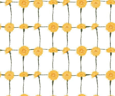 Vector pattern with sketched yellow dandelions in grid on a white background. Botanical floral...