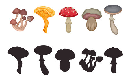 Vector template for preschool games. Find the correct shadow. children's educational fun. Find right black silhouette for cartoon various poisonous mushrooms. Drawing of dangerous fungus.のイラスト素材