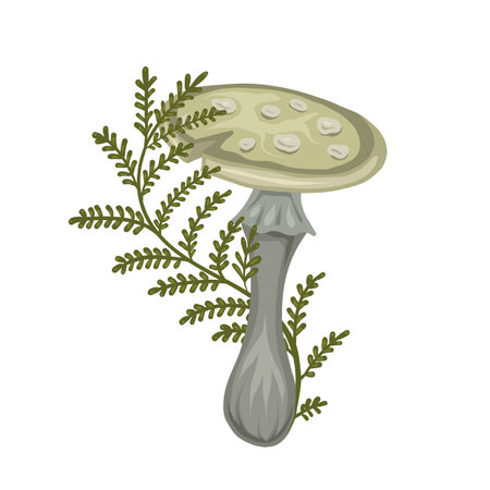 Vector illustration of cartoon poisonous mushroom with fern stems on white background. Amanita with herbal decoration. Botanical fall clipart for card and banner. Drawing of dangerous grebeのイラスト素材
