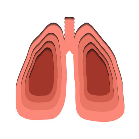 Vector paper cut illustration of silhouette of human lungs. medicine clip art of human body organ. Layered element for articles, banners and educational cardsのイラスト素材