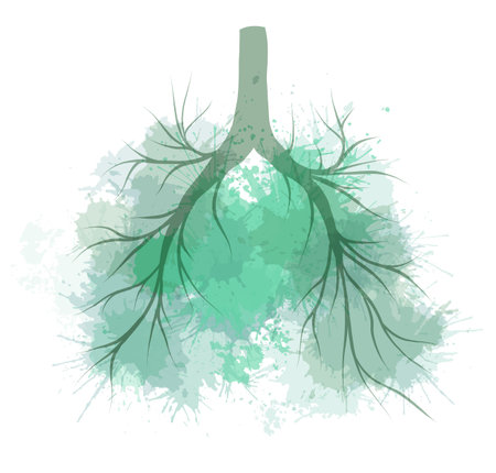 Vector watercolor illustration of human lungs with green splashes. Human organ. Concept art of summer lungs with colorful dye spraysのイラスト素材
