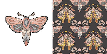 Vector set of card and seamless pattern with contour mothes on dark backdrop. Collection of clipart and texture with color outline butterflies.Line art tracery background and illustration with insectのイラスト素材