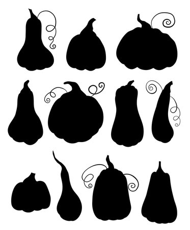 Vector set of different black silhouettes of pumpkins isolated from the background. autumn harvest. Vegetable shadows for logos, icons and infographicsのイラスト素材
