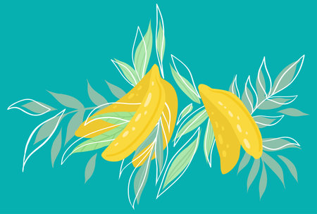 Vector flat illustration of a bunch of bananas and leaves on a turquoise background. Card with juicy tropical fruit with leaves for postcards, menus and recipesのイラスト素材