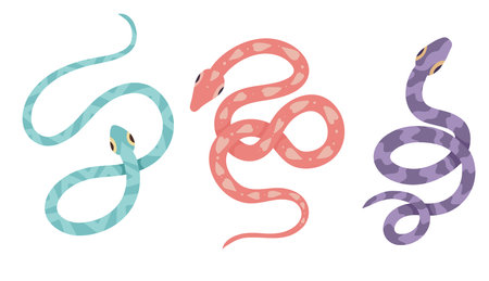 Vector set of cartoon snakes isolated from white background. Clipart collection of serpents in...