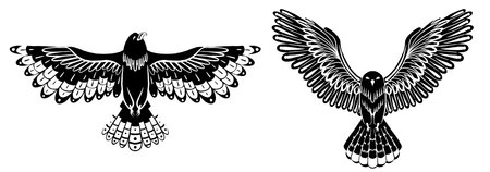 Vector set of black silhouette decorative flying birds. Monochrome cliparts of an owl and hawk with spread wings isolated from background. Ornithological drawing for stickers, articles, sublimationのイラスト素材