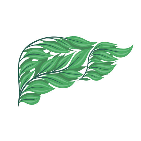 Human healthy liver from leaves isolated from background. The internal organ of a vegetarian. Taking care of your body. Transplantation of healthy organs.のイラスト素材