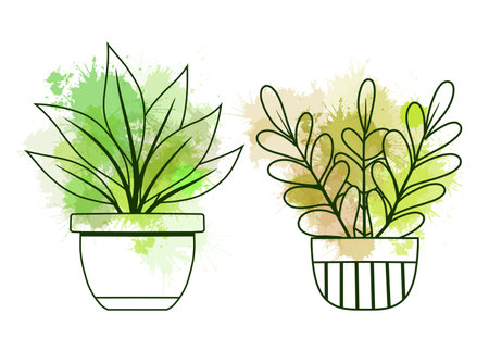 Vector set of contour various plants in pots clip arts with green watercolor splashes. Collection of outline flowers in vases for home decoration. Natural design elements for stickers, icons, articlesのイラスト素材