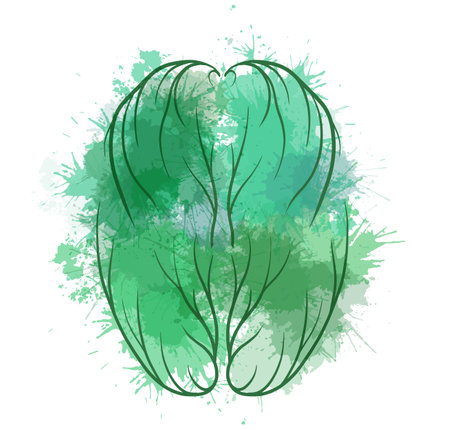 Vector illustration of healthy human brain from green watercolor splashes top view. Internal organ from stains. Eco brain.のイラスト素材