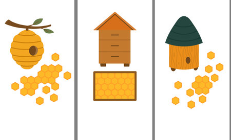 Vector set of vertical beekeeping banner. Collection of cards with beehive, honeycombs and copy...