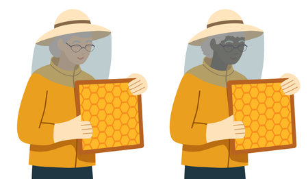 Vector clipart set of old women beekeeper different nationalities with a frame with honeycombs. Collection of professional female apiaristsのイラスト素材