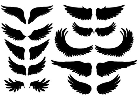 Vector clip arts set of black silhouette of bird wings. Collection of angel wings isolated of the background.のイラスト素材