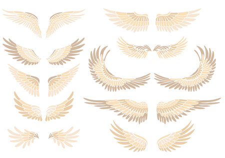 Vector clip arts set of cartoon bird wings. Collection of angel wings isolated of the background. A symbol of freedom and flightのイラスト素材