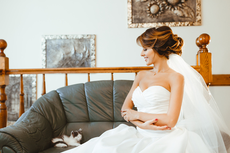 Pre-wedding preparation. Cute cat lying on sofa and bride looking at it. Bride wearing white wedding dress and veil. Indoorの写真素材