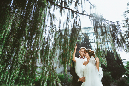 Wedding photo shooting. Bride and bridegroom standing under pine tree. Woman holding branches and man embracing her. Outdoorの写真素材