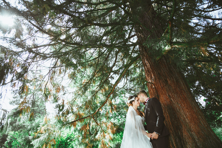 Wedding photo shooting. Bridegroom and bride standing under pine tree. Holding hand of each other with closed eyes. Outdoor, profileの写真素材