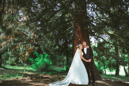 Wedding photo shooting. Bridegroom and bride standing under pine tree. Bride embracing groom with one hand and holding his other hand. Outdoor, full bodyの写真素材