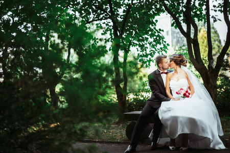 Bride and groom kissing in parkの写真素材
