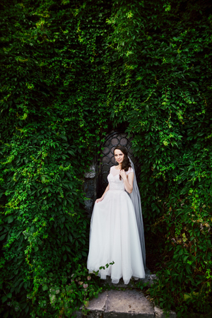 Sensitive wedding photoの写真素材