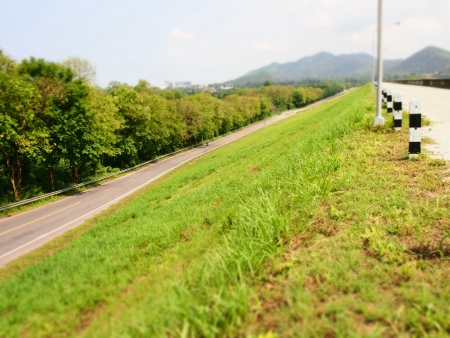 planty of trees alongside reservoir  on mountain backgroundの写真素材