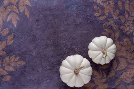Autumn, Thanksgiving background with white pumpkin and leaves. Top view with space for textの写真素材