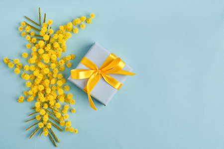 Spring flowers mimosa with gift box on blue background, greeting card for Mothers Day, 8 March,...