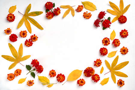 Autumn composition. Frame made of leaves and flowers on white background. Flat lay, top view, copy...