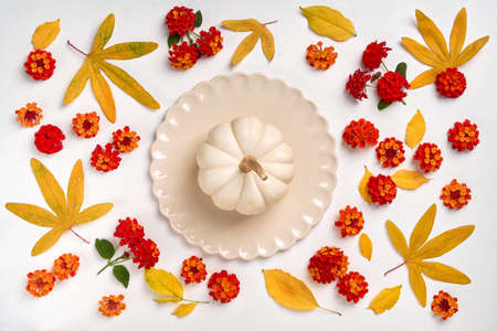 Autumn composition. Lantana flowers, leaves, pumpkin in plate on white background. Autumn, fall, concept. Flat lay, top view, copy spaceの写真素材