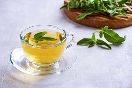 Fresh natural sage herbal tea in glass cup