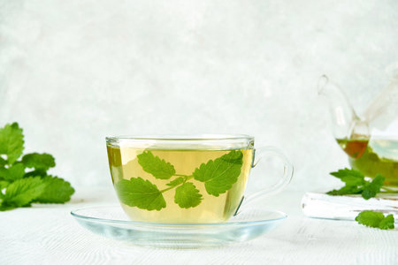Fresh natural melissa , lemon balm herbal tea in glass cup.の写真素材