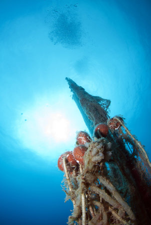 old abandoned fishing net with squid eggsの写真素材