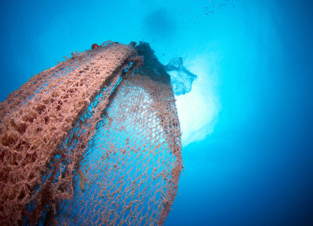 old abandoned fishing net with squid eggsの写真素材