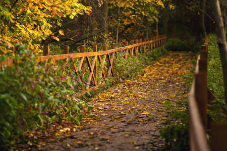 Alley in autumn park via a wooden bridge with railings.