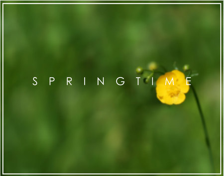 Yellow vector flower on green blur backgroundのイラスト素材