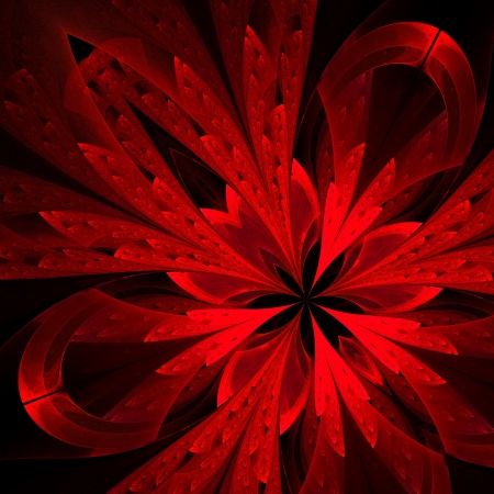Beautiful fractal in red  Computer generated graphics の写真素材