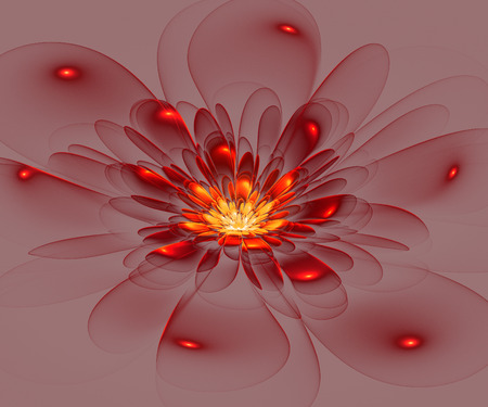 Beautiful red flower on gray background. Computer generated graphics.の写真素材