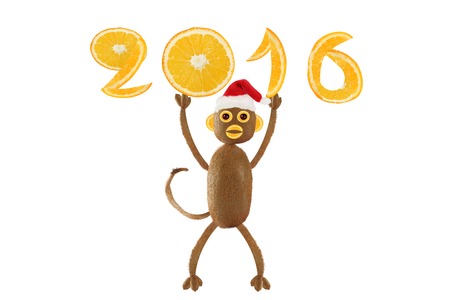 Monkey Santa Claus holding in 2016の写真素材