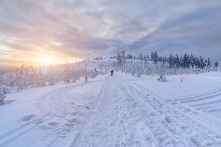 Bright sunset in snowy  Silesian Beskid mountains. Poland, Europeの写真素材