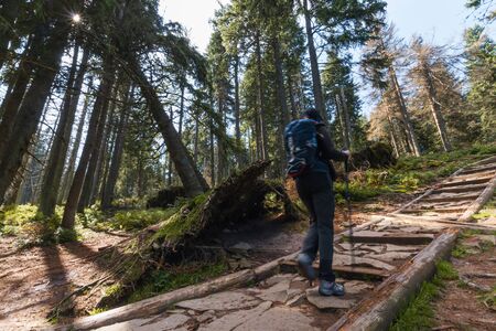 girl tourist in the woods, in the mountains.