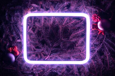 Creative fluorescent color layout made of spruce branchesの写真素材