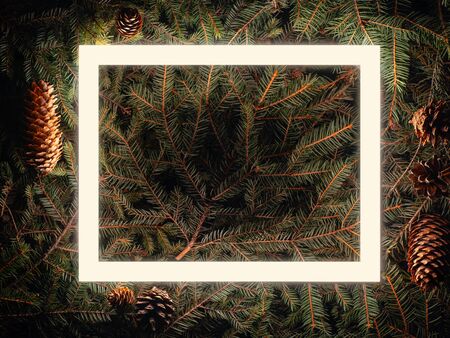 christmas tree, neon xmas background. Decoration new year ornaments.の写真素材