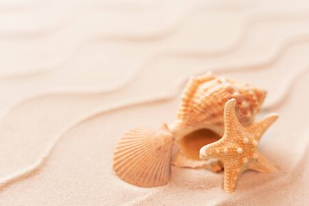 soft focus summer beach background with shell Seastar, vacation and travel concept, Flat lay top...